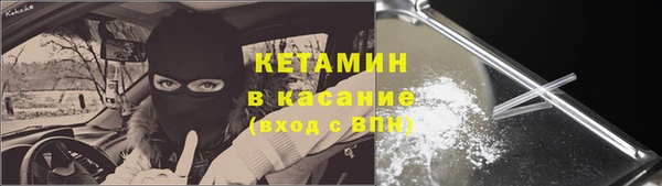 прущие крисы Ельня