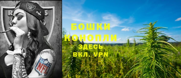 не бодяженный Дмитровск