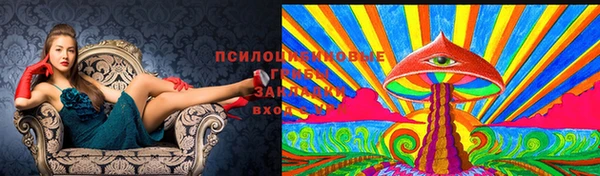 ГАЛЛЮЦИНОГЕННЫЕ ГРИБЫ Елабуга
