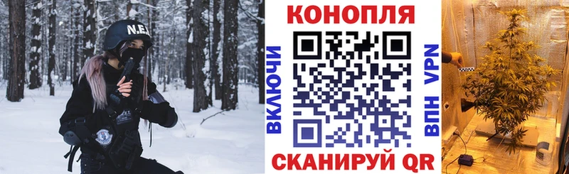 Бошки Шишки тримм  Купить где  Гороховец 